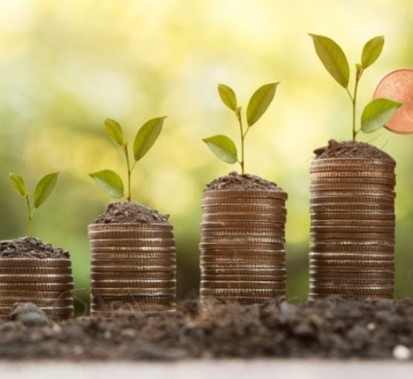 Wealth Protection Guide for Safer Financial Planning